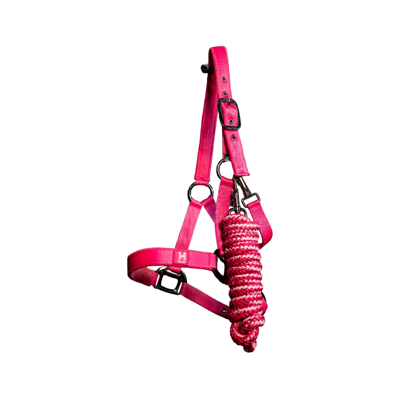 Horseware - Licol et longe Newmarket witney pink