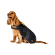 Horseware - Manteau pour chien Newmarket witney gold | - Ohlala