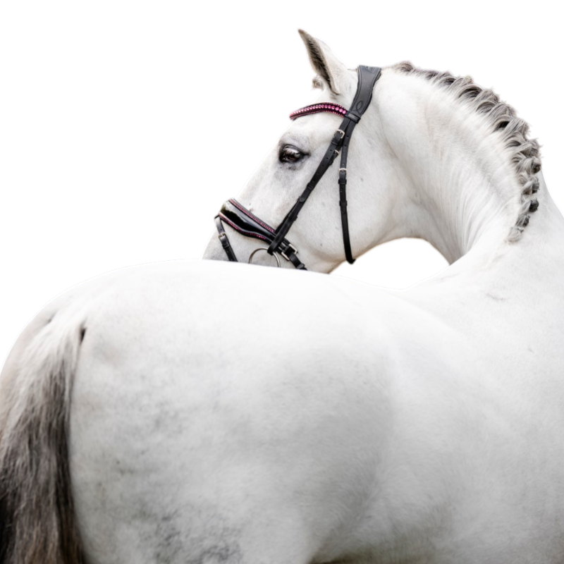 Horseware - Diamante Flash hoofdstel zwart/roze | - Ohlala