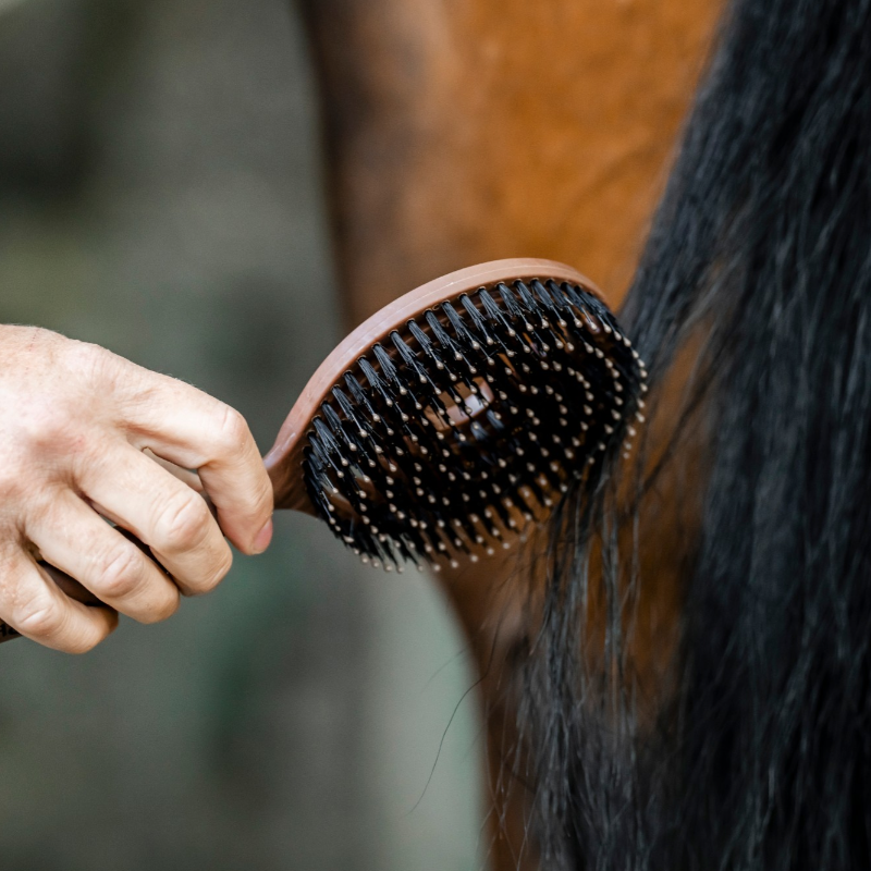 Horseware - Brosse à crins Mane wood effect | - Ohlala