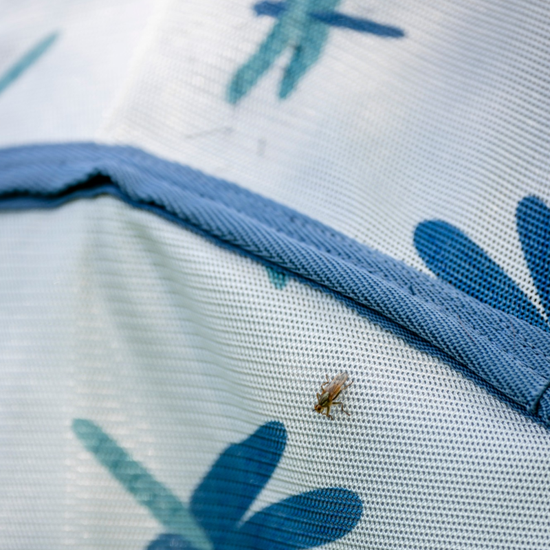 Horseware - Vliegendeken Amigo Bug Rug dragonfly print/ zilver/ blauw/ salie | - Ohlala