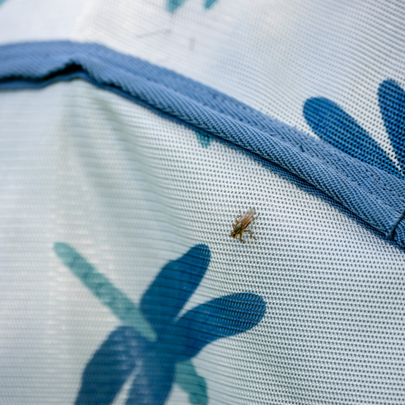 Horseware - Vliegendeken Amigo Bug Rug XL Plus dragonfly print/ zilver/ blauw/ salie | - Ohlala