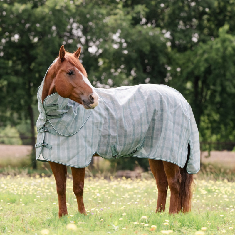 Horseware - Vliegendeken Newmarket Quarter Horse Plus witney dynasty | - Ohlala