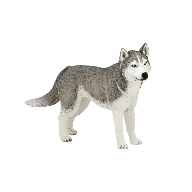 Papo - Figurine Husky de Sibérie