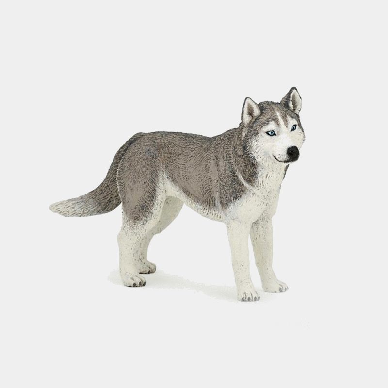 PAPO - Figurine Husky de Sibérie | - Ohlala