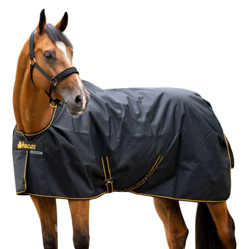 Bucas - Couverture d'extérieur Irish Turnout big neck 50 noir/ gold 50g