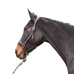 Jump'In - Lederen halster One Premium Clincher havana | - Ohlala