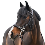 Jump'In - Hoofdstel One Premium Hackamore havana | - Ohlala