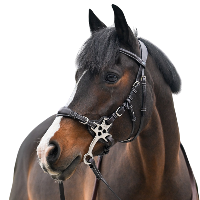 Jump'In - Bridon One Premium Hackamore havane