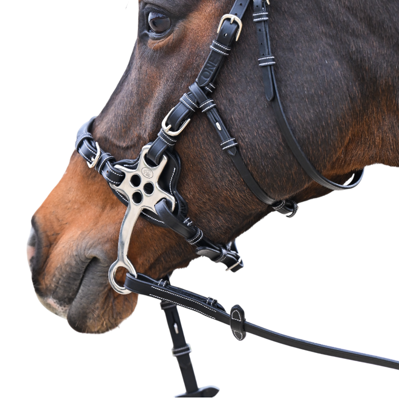 Jump'In - Bridon One Premium Hackamore havane