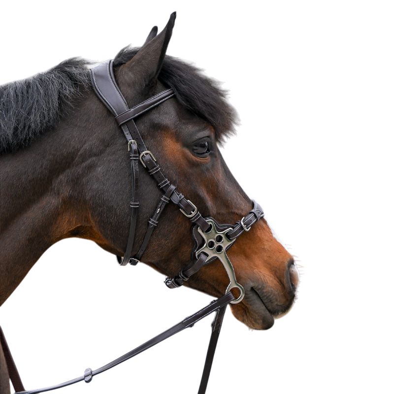 Jump'In - Bridon One Premium Hackamore havane