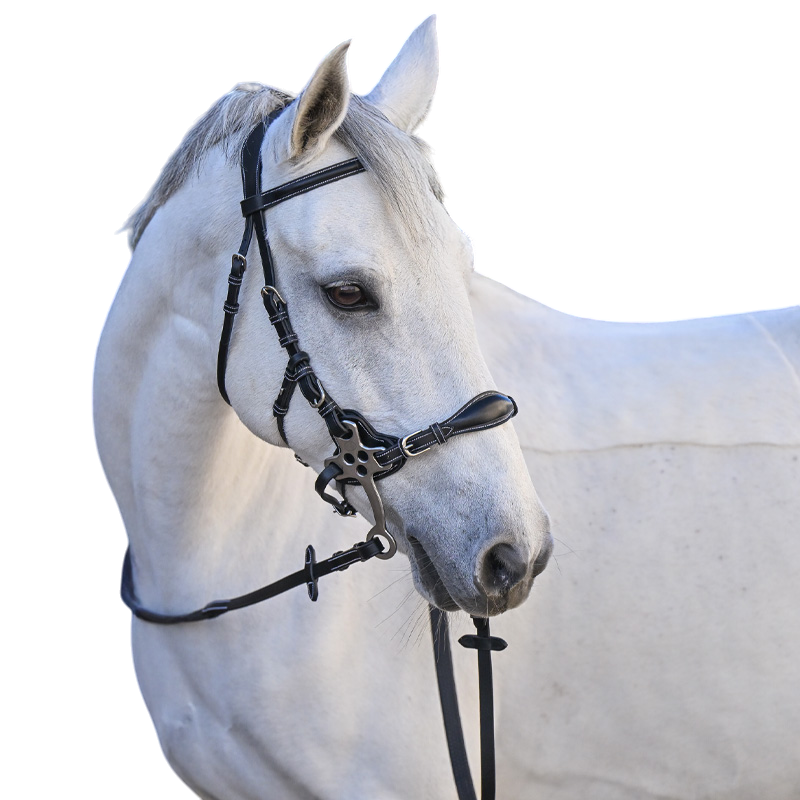 Jump'In - Bridon One Premium Hackamore noir