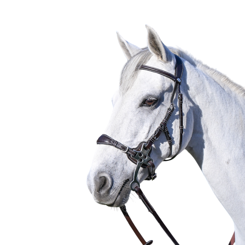 Jump'In - Bridon One Premium Hackamore noir