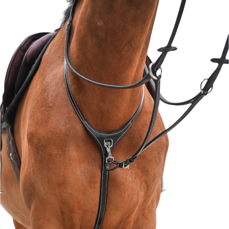 Jump'In - Collier et martingale One Premium havane