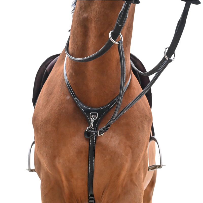 Jump'In - Collier et martingale One Premium havane