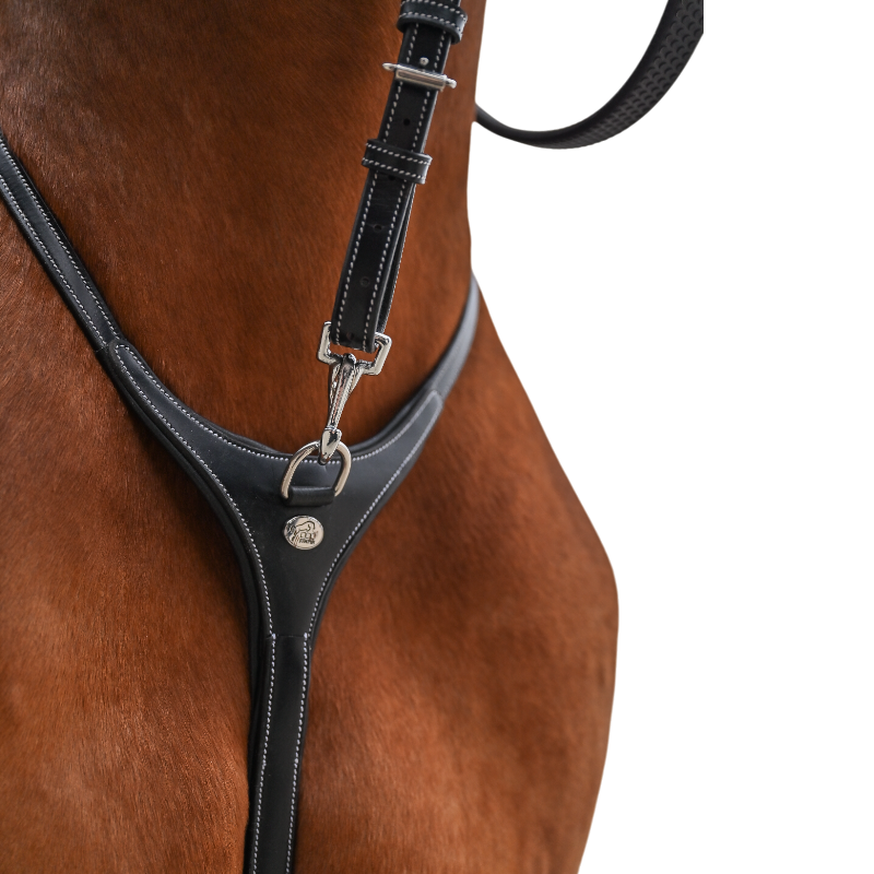 Jump'In - Collier et martingale One Premium havane
