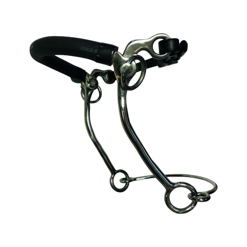 Jump'In - Hackamore Peals long