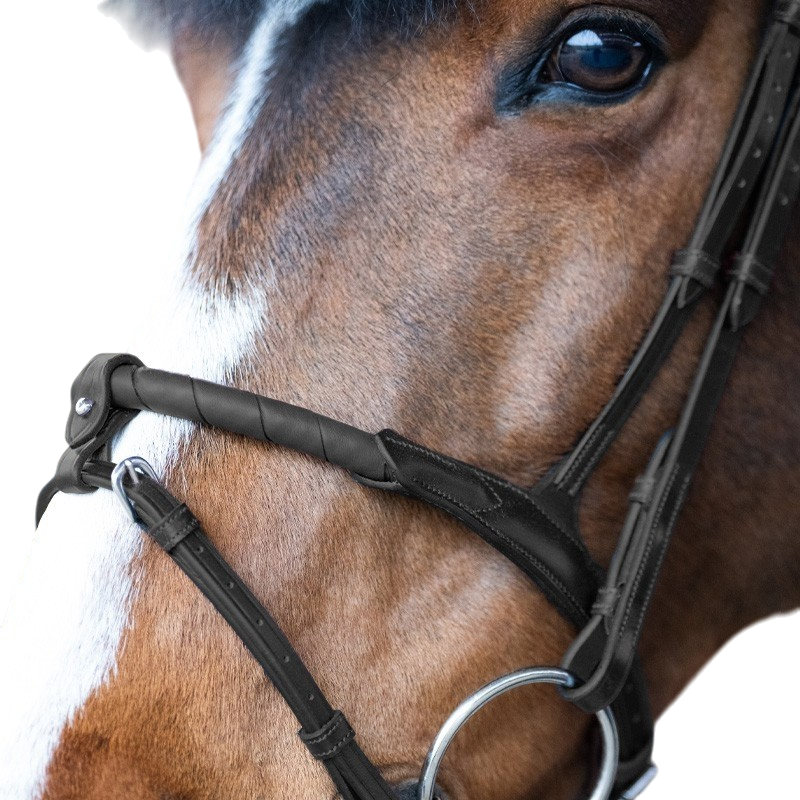 Jump'In - Hoofdstel gecombineerde neusriem touw Evolution zwart | - Ohlala