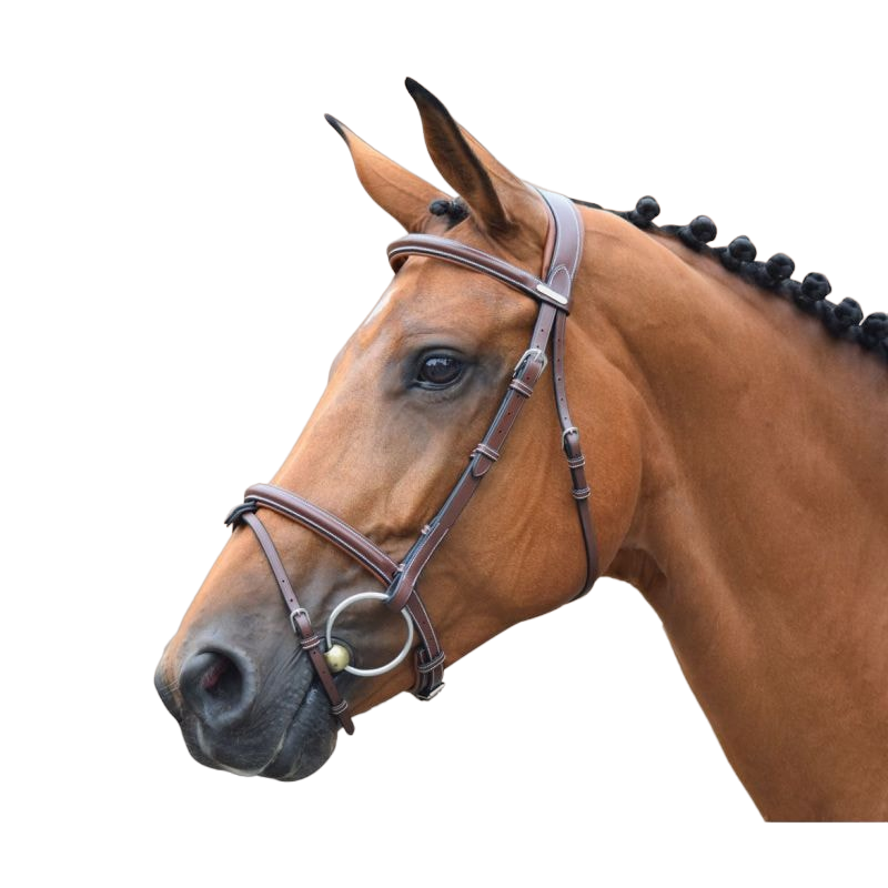 Longe cheval coton tressé Plus Waldhausen - Equestra