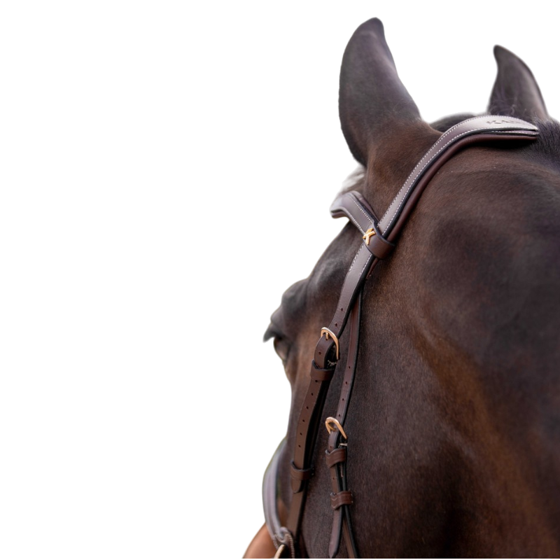 K By Equithème - Bridon K-KONNECT havane