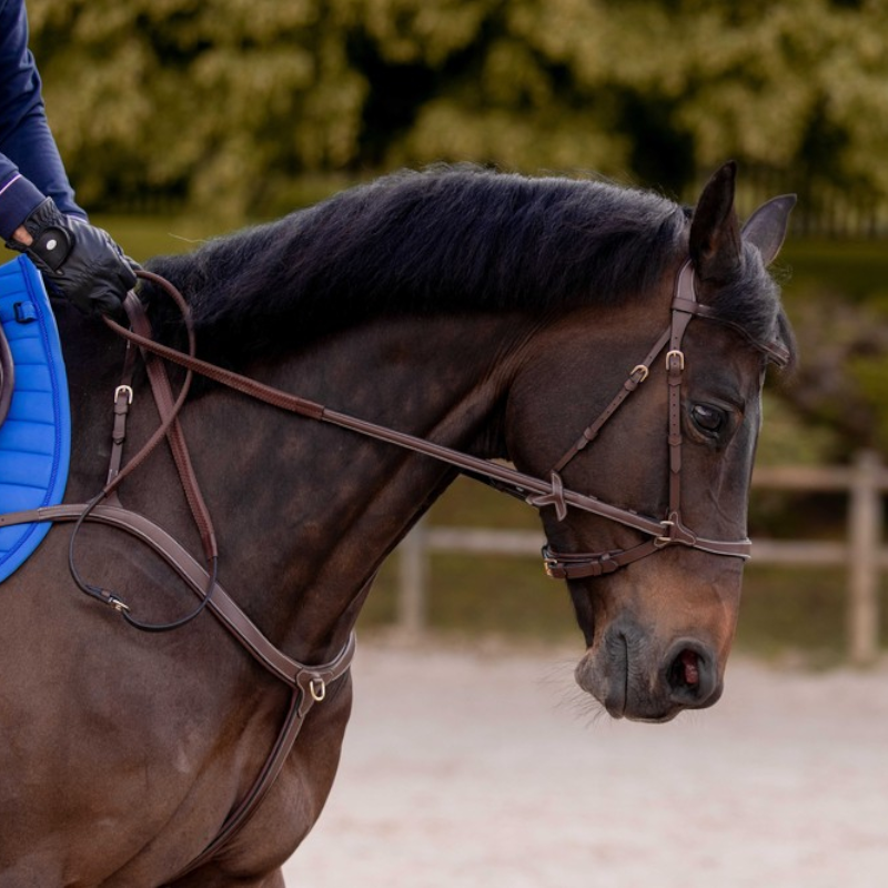 K By Equithème - Bridon K-KONNECT havane