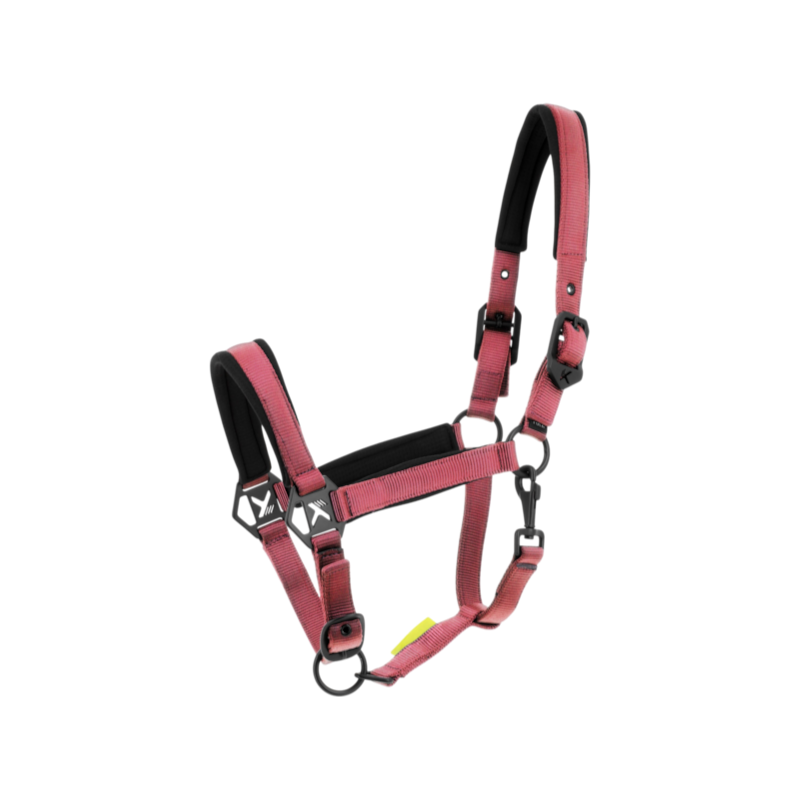 Licol K-TRITON rose - K By Equithème