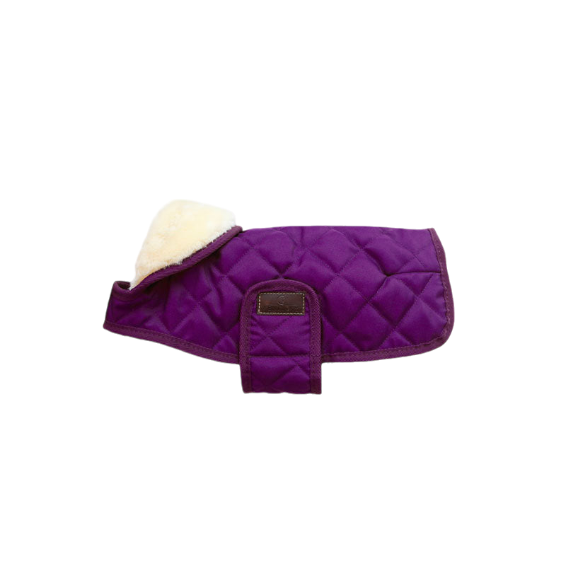 Kentucky Dogwear - Manteau pour chiens Original Royal violet 160g