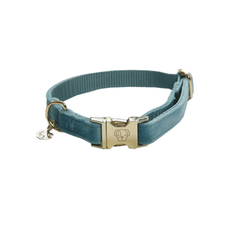 Kentucky Dogwear - Colliers pour chiens Velvet Bleu ciel