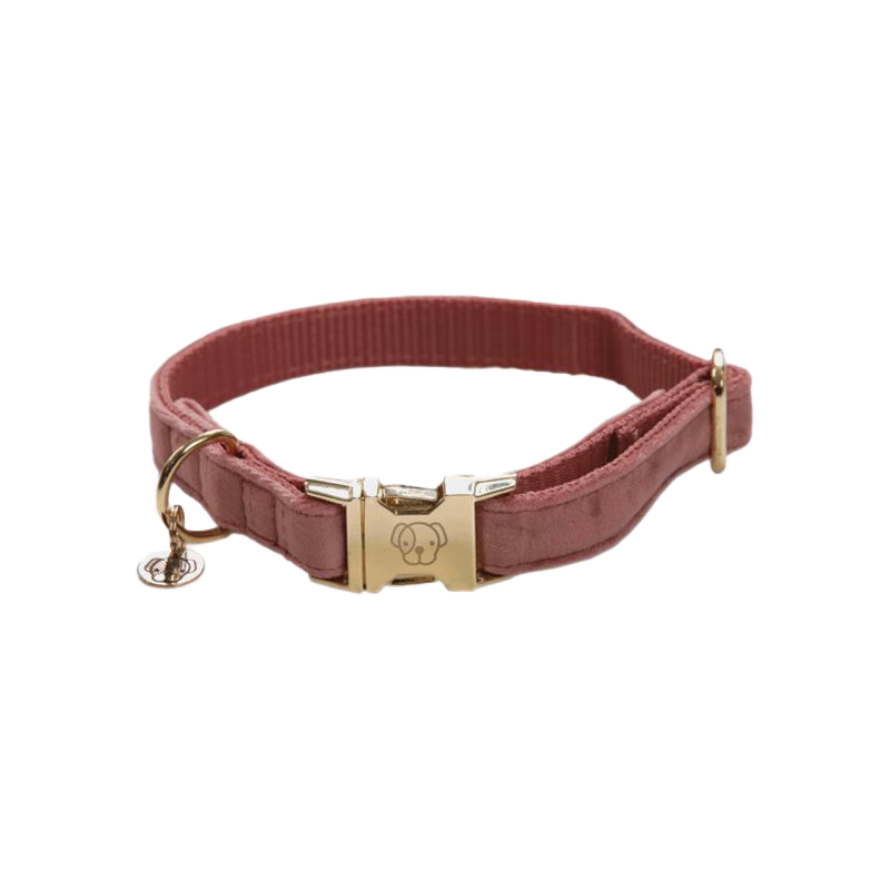 Kentucky Dogwear - Colliers pour chiens Velvet Rose