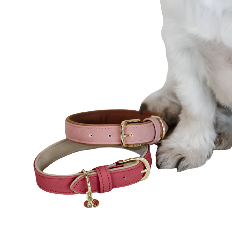 Kentucky Dogwear - Collier pour chien vegan leather peach/brown