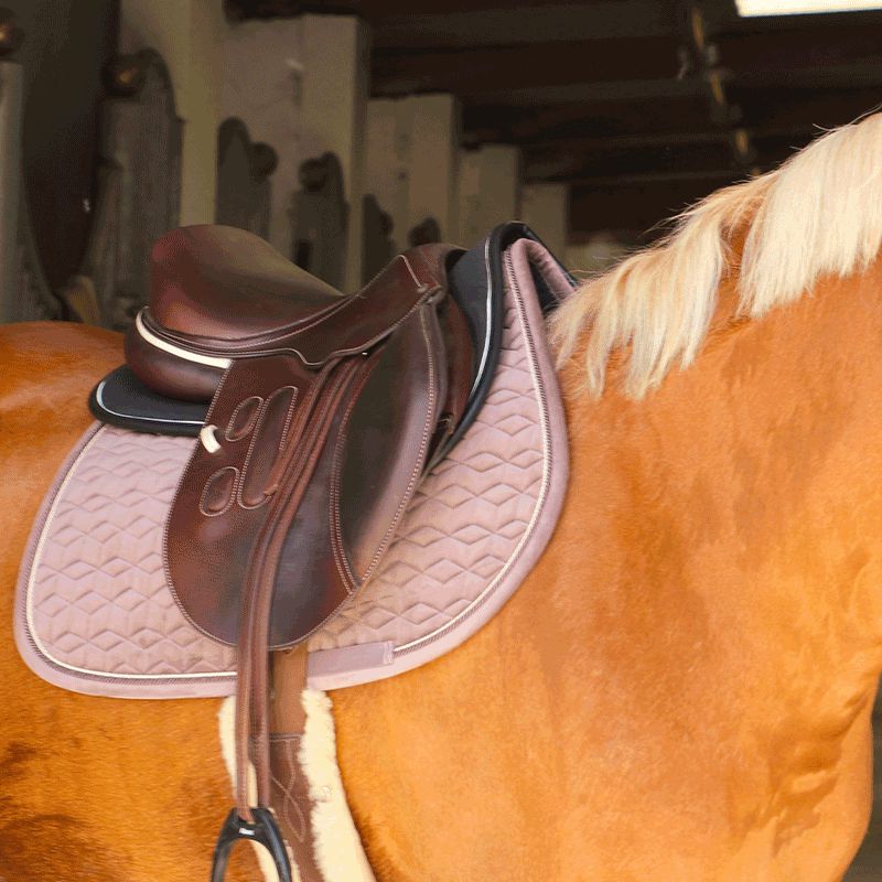Kentucky Horsewear - Amortisseur pour chevaux Absorb noir/noir | - Ohlala