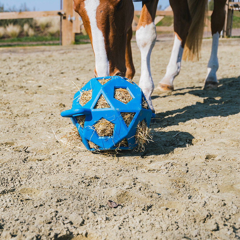 Kentucky Horsewear - Balle de jeu/ balle à foin bleu royal | - Ohlala