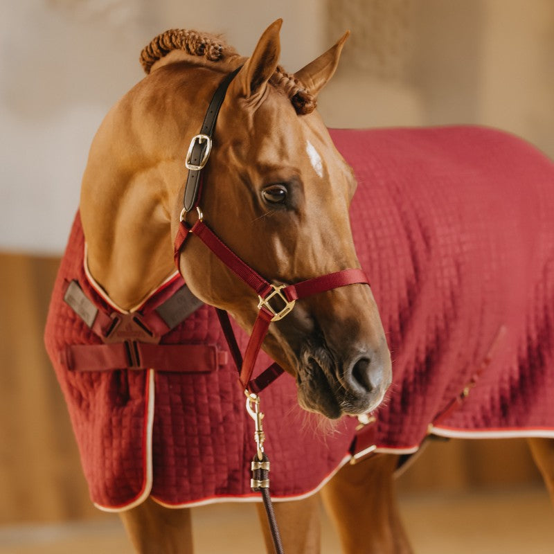 Kentucky Horsewear - Chemise séchante Protherm bordeaux