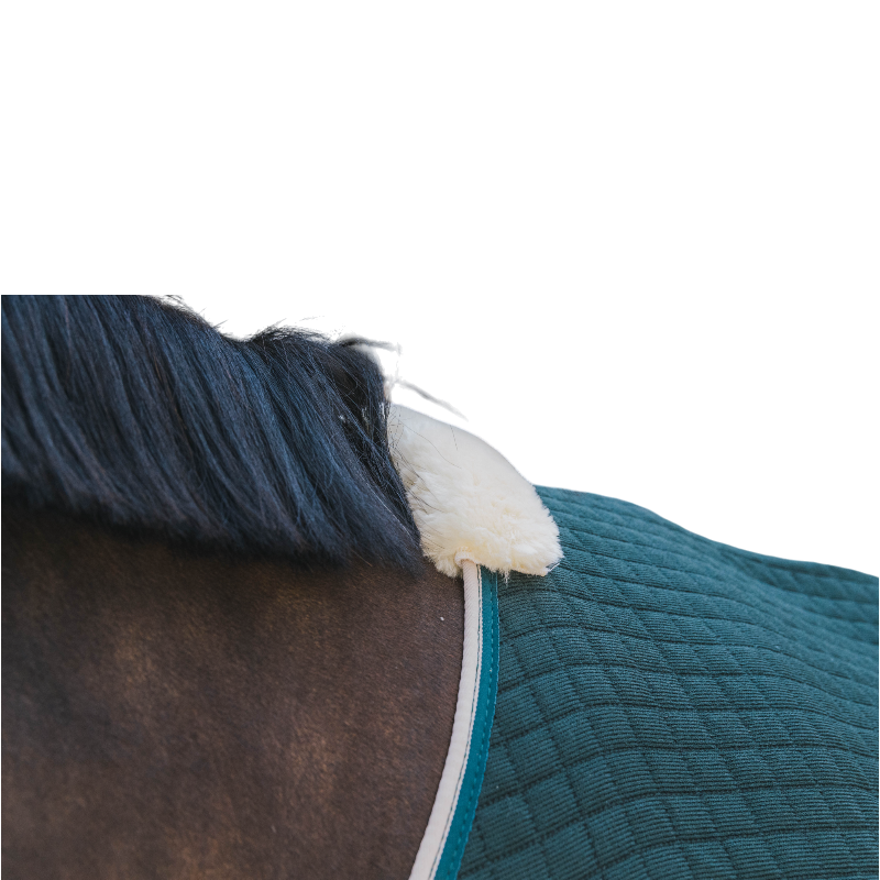 Kentucky Horsewear - Chemise séchante Protherm vert foncé | - Ohlala
