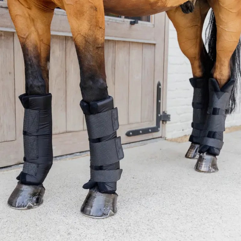 Kentucky Horsewear - Guêtres d'écurie Protect Classic antérieurs noir (x2) | - Ohlala
