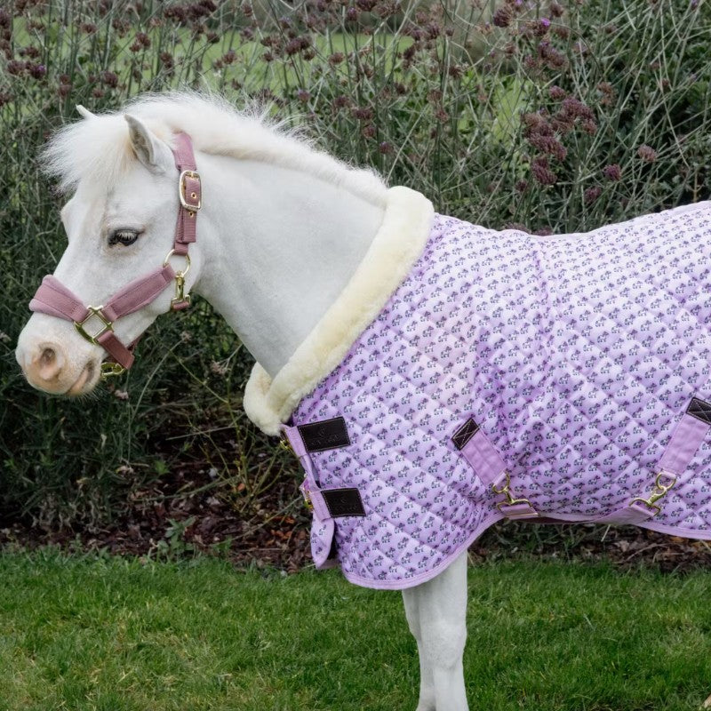 Kentucky Horsewear - Couverture de présentation Sammy Collection vieux rose 160g