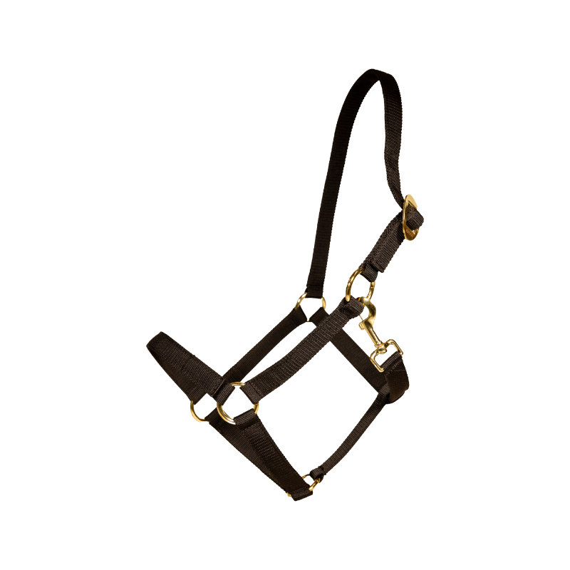 Kentucky Horsewear - Licol Nylon noir
