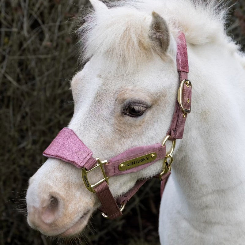 Kentucky Horsewear - Licol velvet paillette vieux rose