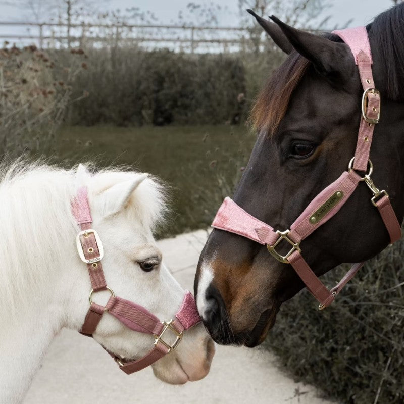 Kentucky Horsewear - Licol velvet paillette vieux rose