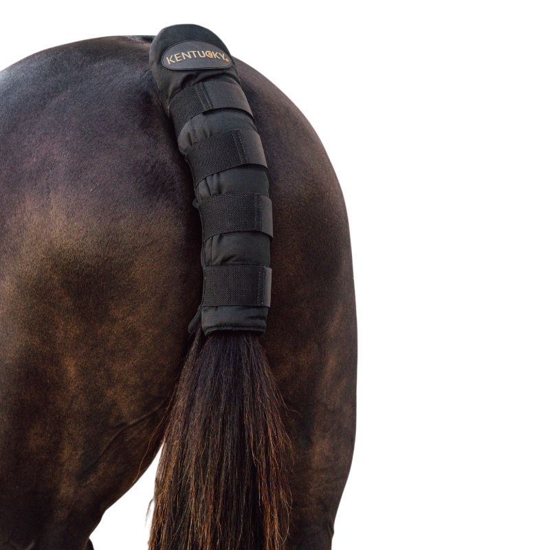 Kentucky Horsewear - Protège-queue Pro noir