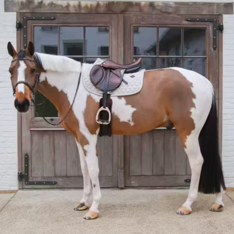 Kentucky Horsewear - Tapis de selle Melange beige