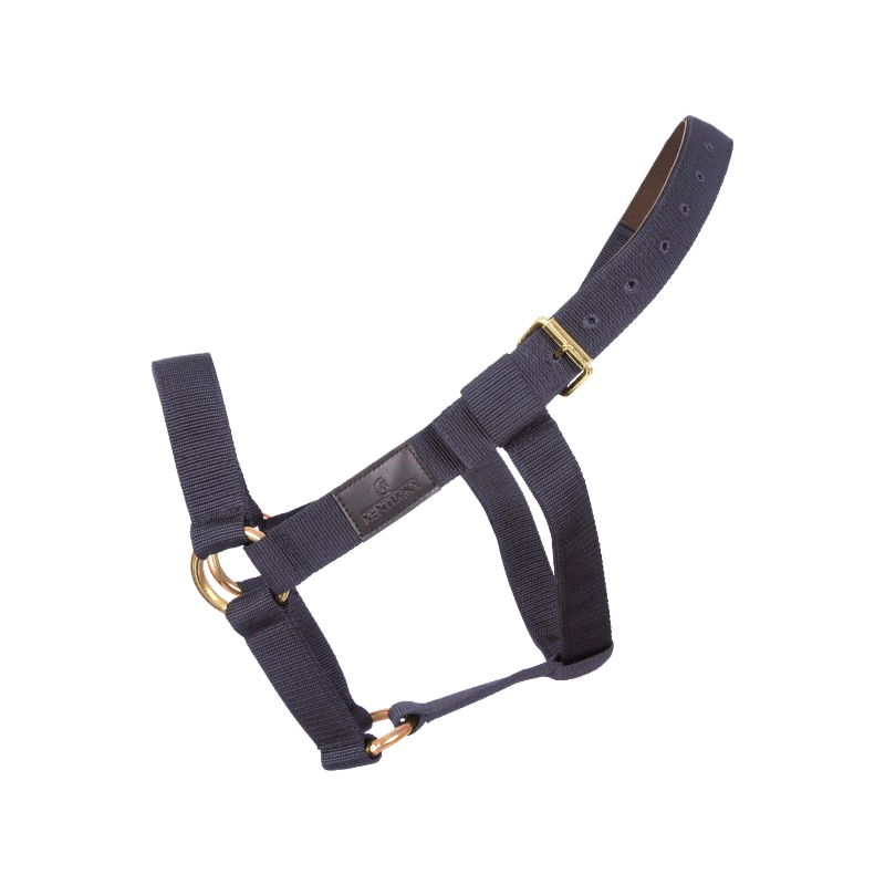 Kentucky Horsewear - Licol Heavy Duty marine
