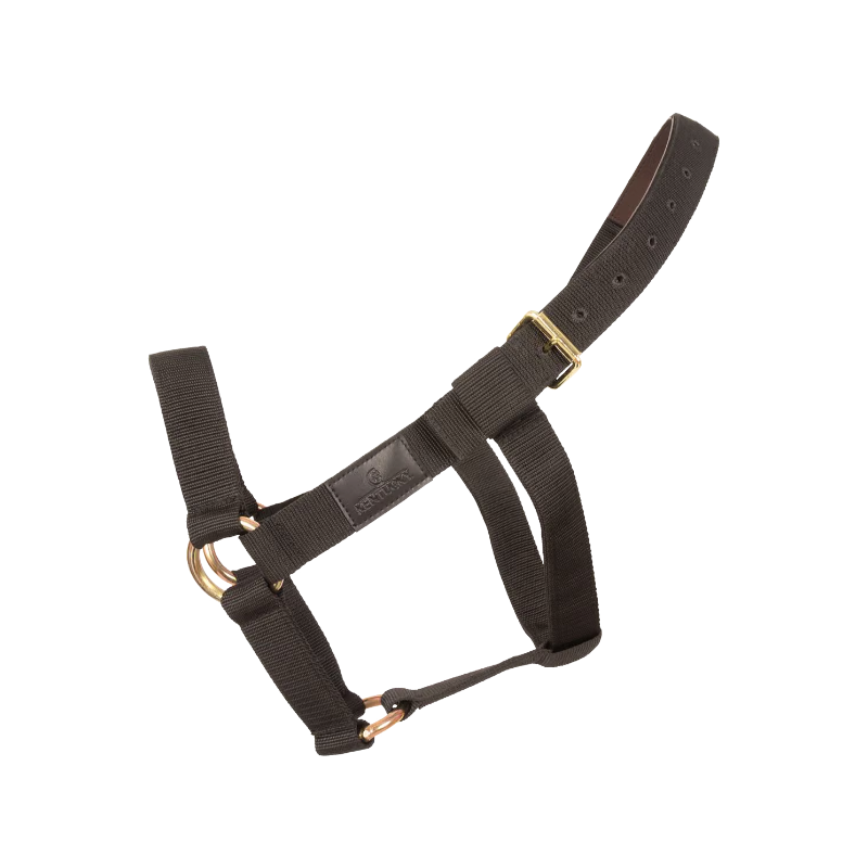Kentucky Horsewear - Licol Heavy Duty noir