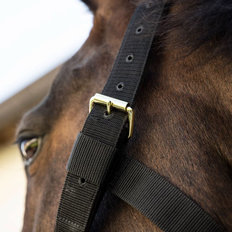 Kentucky Horsewear - Licol Heavy Duty noir