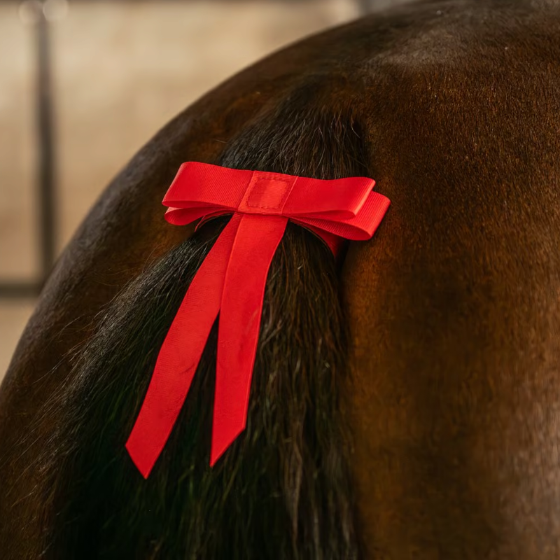 Kentucky Horsewear - Ruban de queue velcro rouge