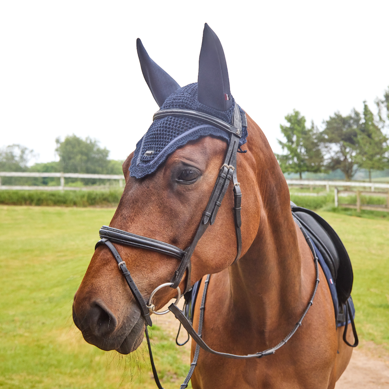 Kingsland - Bonnet pour chevaux KLNelly marine