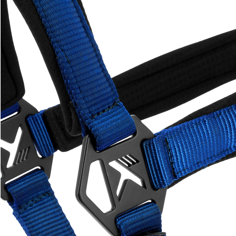 Licol K-TRITON bleu roi - K By Equithème