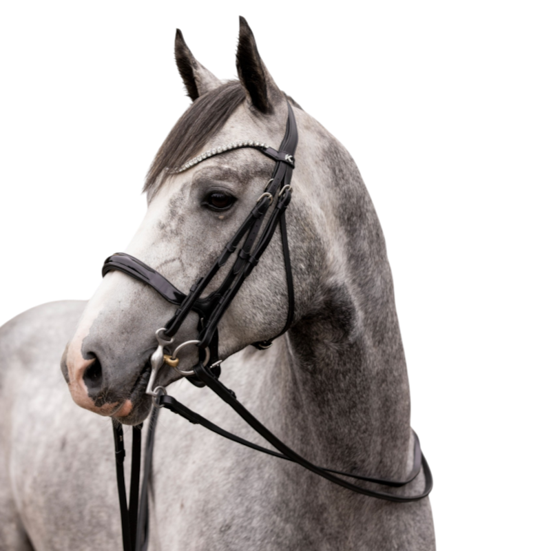 K By Equithème - Bride K-KURVE noir