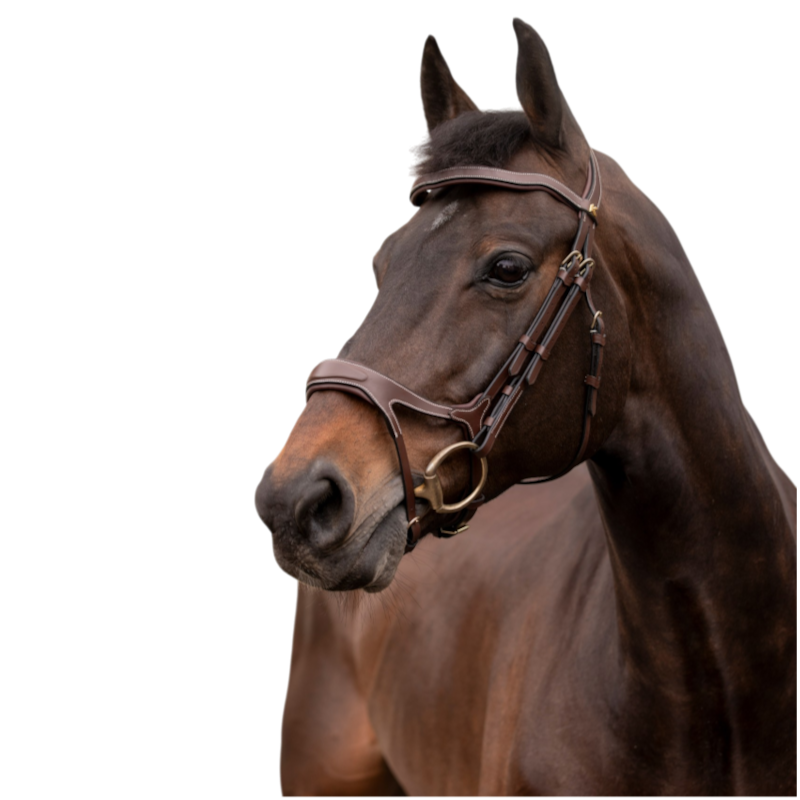 K By Equithème - Bridon K-KADENCE havane