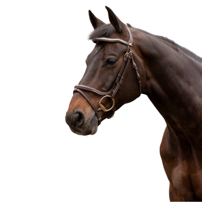 K By Equithème - Bridon K-KAPTURE havane